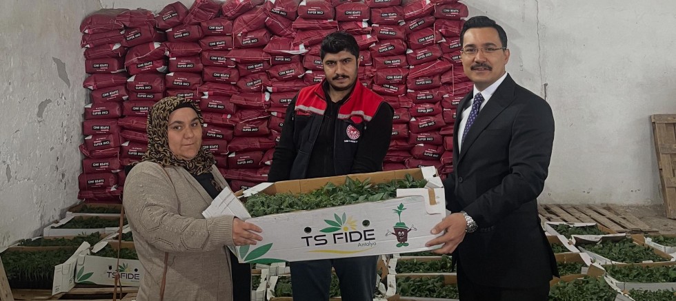 Akyaka’da 53 Üreticiye %75 Hibeli Fide Dağıtıldı
