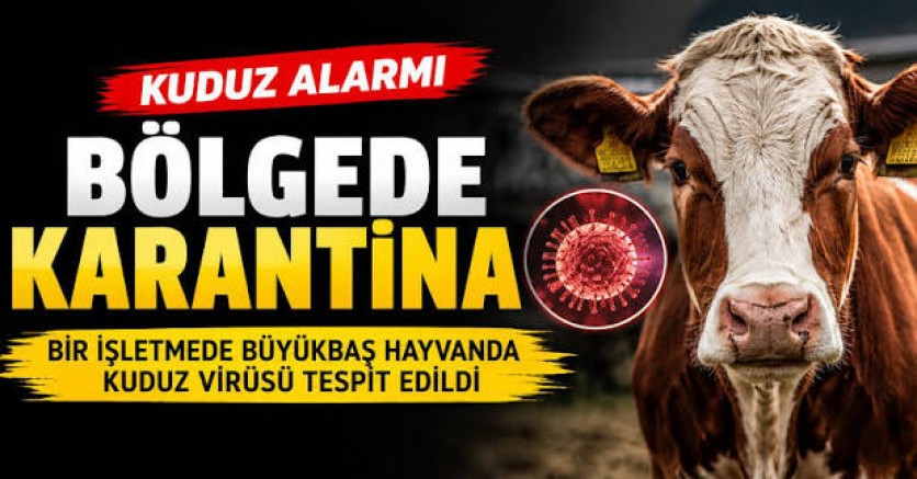Ardahan’da büyükbaş hayvanda kuduz tespit edildi: Bölge karantinaya alındı