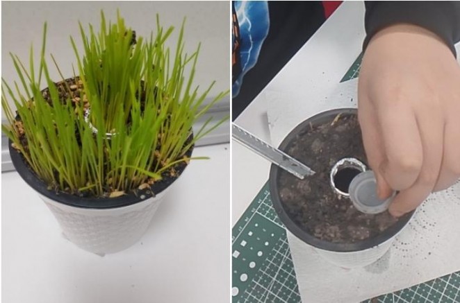 BİLSEM’de Don Riskine Karşı Toprak Altı Tarım Prototipi Geliştirildi