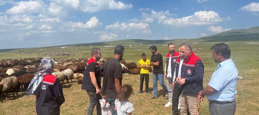 Digor Yaylalarında 10 Bin Hayvan İçin Sağlık Taraması