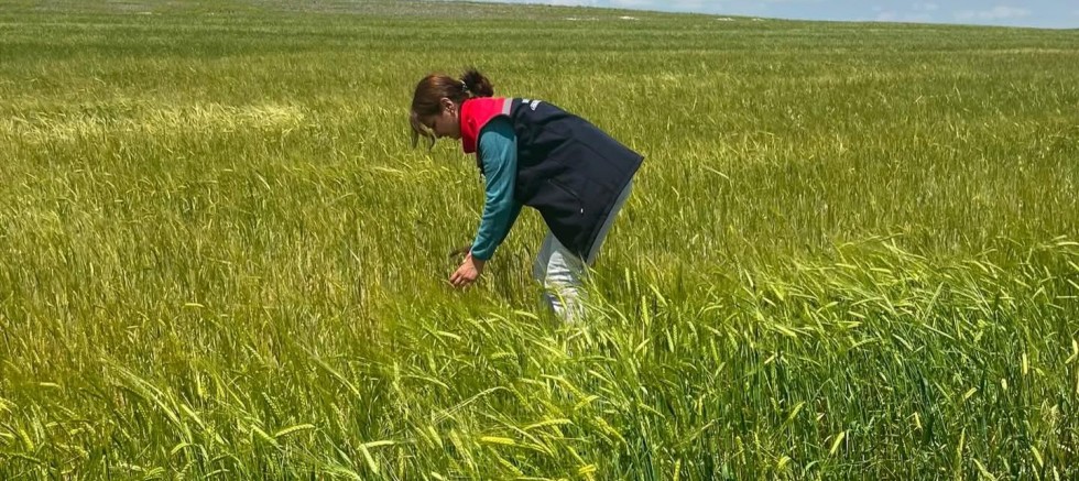 Kars'ta Köylerde Hasar Tespit Çalışmaları Başlatıldı