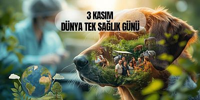 3 Kasım Dünya Tek Sağlık Günü: Tek Sağlık, Tek Gelecek!