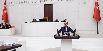 Ak Parti Kars Milletvekili Adem Çalkın'dan TBMM'de Tarihi Çıkış : 
