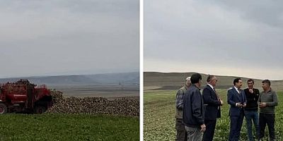 Akyaka'da çiftçiler Şeker Pancarı Hasadına başladı
