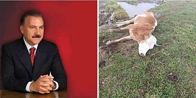 Alibeyoğlu’ndan Bağımsız Hayvan Hastalıkları Enstitüsü Çağrısı