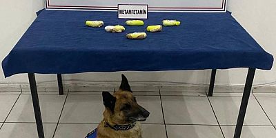 Arama köpeği “Tabya” zehir tacirlerine geçit vermiyor!