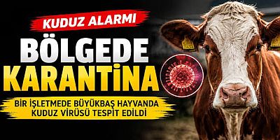 Ardahan’da büyükbaş hayvanda kuduz tespit edildi: Bölge karantinaya alındı