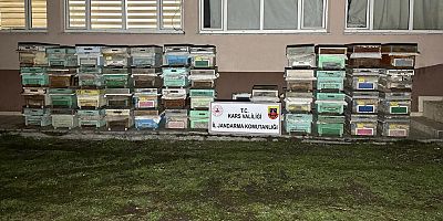 Arı kovanı hırsızları Jandarma ekiplerince yakalandı
