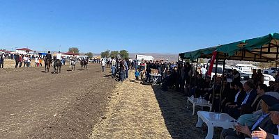 Arpaçay’da 4. Geleneksel Rahvan At Yarışları Coşkusu