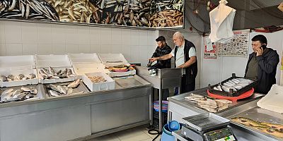 Balık tezgahlarında palamut bollluğu