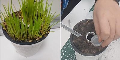 BİLSEM’de Don Riskine Karşı Toprak Altı Tarım Prototipi Geliştirildi