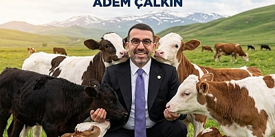 Çalkın’dan Müjde: Buzağı Destek Ödemeleri Bugün Hesaplara Yatıyor