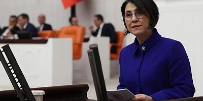 CHP Ankara Milletvekili Aylin Yaman, 