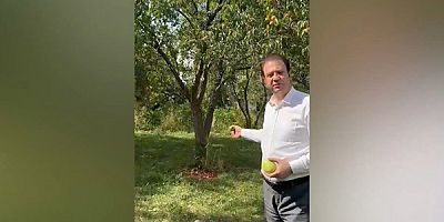 CHP Kars  Milletvekili Alp : “Kağızman’da elma ve kayısı bahçeleri suya hasret, üreticimiz perişan”