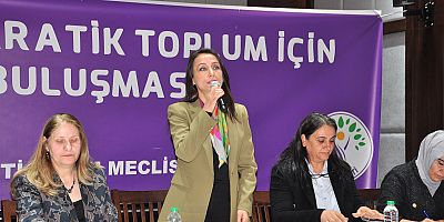 DEM Parti’den Kars’ta “Barış ve Demokratik Toplum” Mesajı