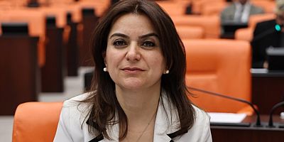 DEM Parti Kars Milletvekili Koçyiğit, Koruma Kurulunu Bakan Ersoy'a sordu