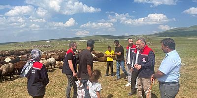 Digor Yaylalarında 10 Bin Hayvan İçin Sağlık Taraması