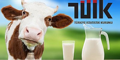 İnek Sütü ve Ürünlerinde Artış Devam Ediyor