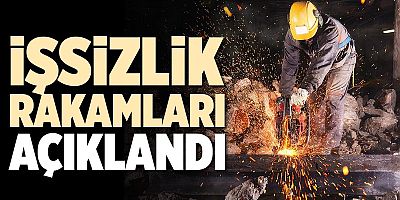 İşsizlik şubatta yükseldi: Oran yüzde 8,5 oldu