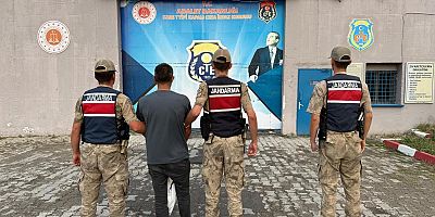 Jandarmadan Büyükbaş Hayvan Hırsızlarına Suçüstü!