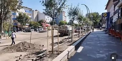 Kağızman'da Asfalt, Ağaçlandırma ve Peyzaj Çalışmaları Sürüyor