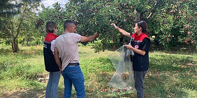 Kağızman’da Elma Bahçelerinde Pestisit Denetimi Yapıldı