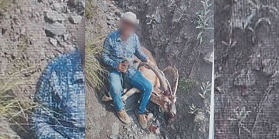 Kağızman’da Yaban Keçisi Avlayan Şahsa 658 Bin TL Ceza Uygulandı