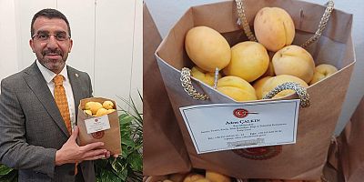 Kağızman Kayısısı TBMM'de...