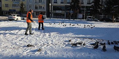 ​Kars Belediyesi Kanatlı Dostları Unutmadı