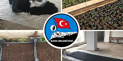 Kars Belediyesi, Mevsimlik çiçeklerini kendileri üretiyor
