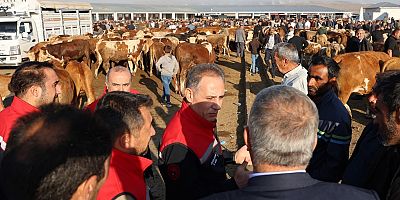 Kars Hayvan Pazarı’nda denetim ve kontrolleri yerinde incelendi