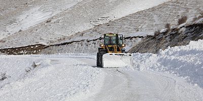 Kars'ın Selim ve Ardahan'ın Göle ilçesi tipi nedeniyle ulaşıma kapandı