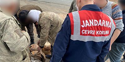 Kars Jandarma Komutanlığı, kaçak avcıları yakaladı