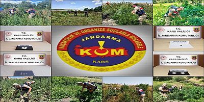 Kars Jandarmasından zehir tacirlerine darbe