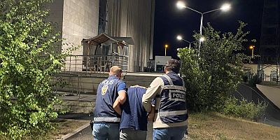 Kars Kalesi Eteklerindeki Yangının Şüphelisi Tutuklandı