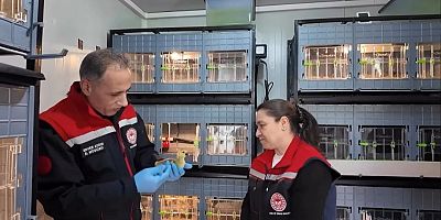 Kars Kazı Kuluçkahanesi’nde yüzler gülüyor