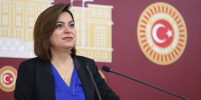 Kars Milletekili Koçyiğit, Sağlık emekçilerine karşı artan şiddeti TBMM'ye taşıdı