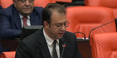 Kars Milletvekili Alp, yanan Kütük Evi TBMM'ye taşıdı