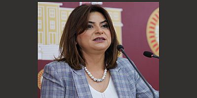 Kars Milletvekili Koçyiğit, Alevi Türkmenleri'nin sorunlarını TBMM'ye taşıdı