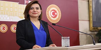 Kars Milletvekili Koçyiğit, Bakan Tekin'e cinsiyet ayrımcılığı ve toplumsal adaletsizlikleri sordu 