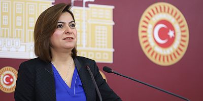 Milletvekili Koçyiğit, Kars'taki tarihi yapıları TBMM gündemine taşıdı