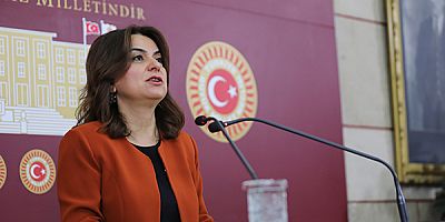 Kars Milletvekili Koçyiğit, TBMM'de basın toplantısı düzenledi