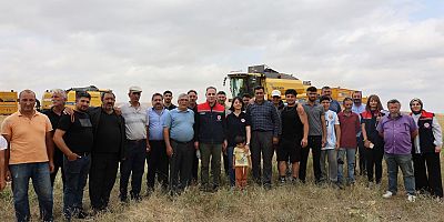 Kars'ta 2026 Hububat Hasat Sezonu Başladı