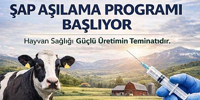 Kars'ta 2026 İlkbahar Dönemi Şap Aşılama programı başlıyor