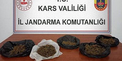 Kars’ta 700 gram bonzai ele geçirildi