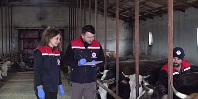 Kars'ta aşılama çalışmaları aralıksız sürüyor