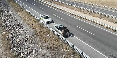 Kars'ta Ehliyetsiz araç kullanan şahsa ceza yağdı