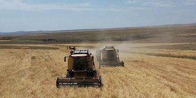 Kars’ta Hasat Mevsimi Başladı: İlk Arpa Digor Yeniköy’de Biçildi