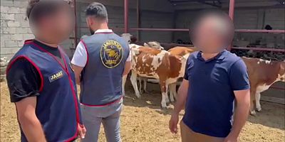 Kars’ta Jandarmadan Hayvan Hırsızlarına Operasyon: 5 Gözaltı