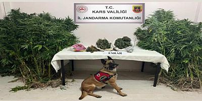 Kars'ta, Jandarmadan uyuşturucu operasyonu: 2 gözaltı